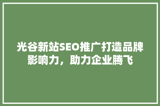 光谷新站SEO推广打造品牌影响力，助力企业腾飞  第1张