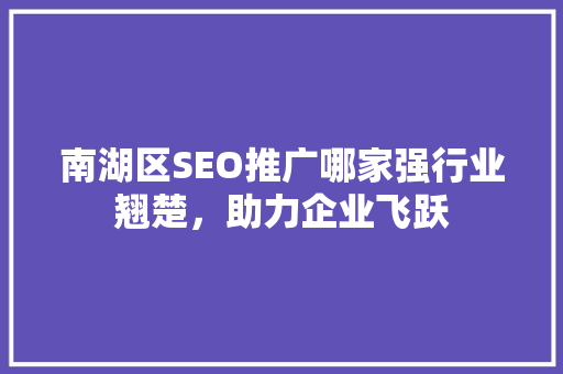 南湖区SEO推广哪家强行业翘楚，助力企业飞跃  第1张