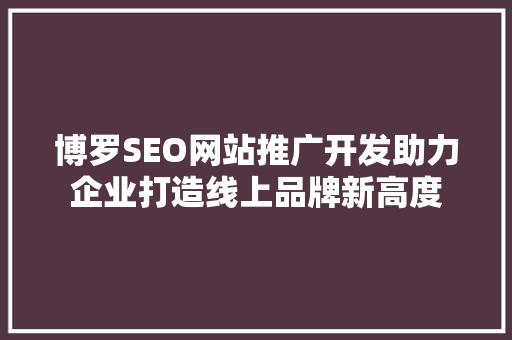 博罗SEO网站推广开发助力企业打造线上品牌新高度