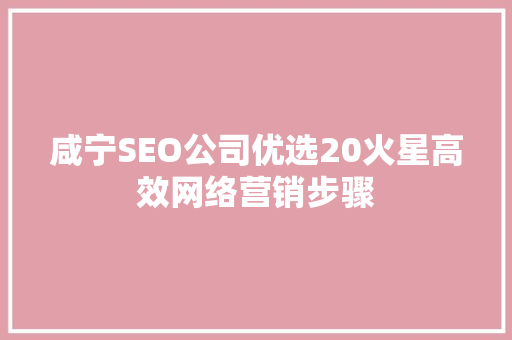 咸宁SEO公司优选20火星高效网络营销步骤