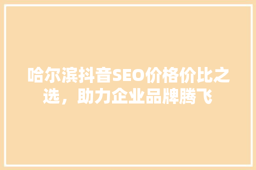 哈尔滨抖音SEO价格价比之选，助力企业品牌腾飞