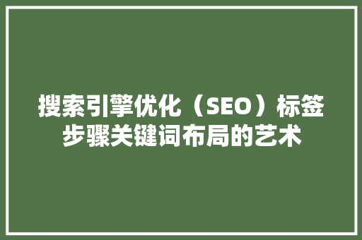 搜索引擎优化（SEO）标签步骤关键词布局的艺术