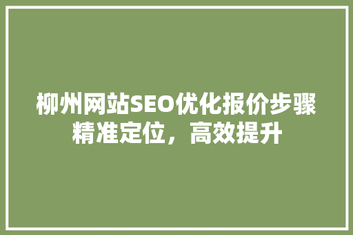 柳州网站SEO优化报价步骤精准定位，高效提升  第1张