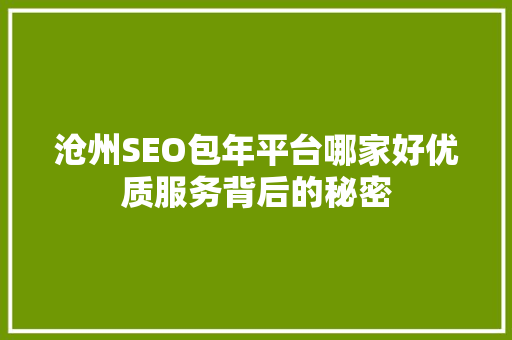 沧州SEO包年平台哪家好优质服务背后的秘密