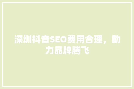深圳抖音SEO费用合理，助力品牌腾飞