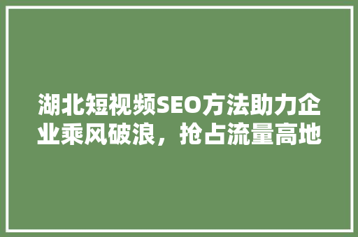 湖北短视频SEO方法助力企业乘风破浪，抢占流量高地