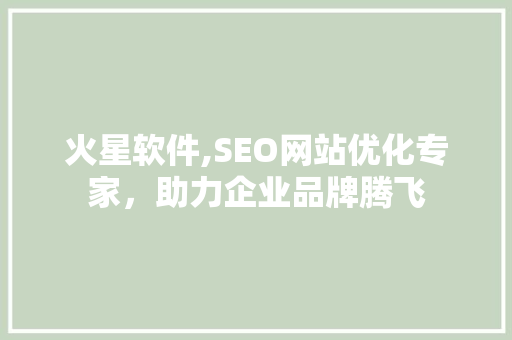 火星软件,SEO网站优化专家，助力企业品牌腾飞