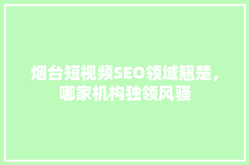 烟台短视频SEO领域翘楚，哪家机构独领风骚