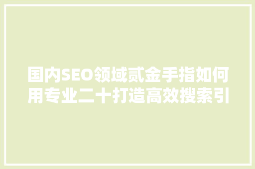 国内SEO领域贰金手指如何用专业二十打造高效搜索引擎优化