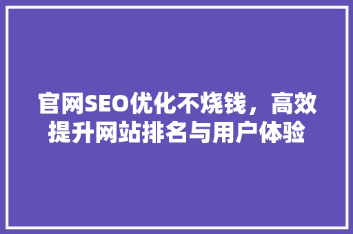 官网SEO优化不烧钱，高效提升网站排名与用户体验