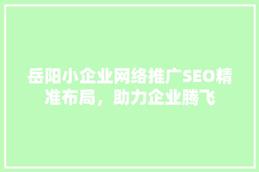 岳阳小企业网络推广SEO精准布局，助力企业腾飞