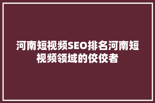 河南短视频SEO排名河南短视频领域的佼佼者