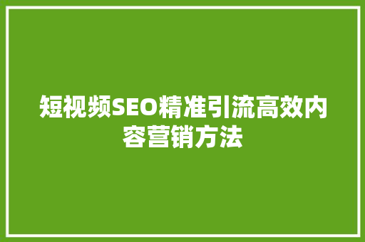 短视频SEO精准引流高效内容营销方法  第1张