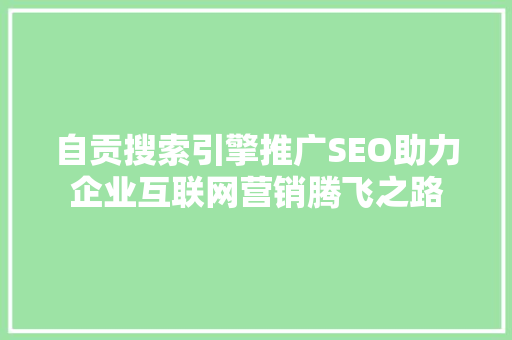 自贡搜索引擎推广SEO助力企业互联网营销腾飞之路