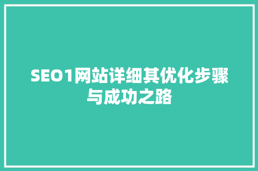 SEO1网站详细其优化步骤与成功之路