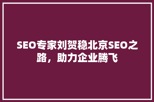 SEO专家刘贺稳北京SEO之路，助力企业腾飞