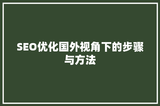SEO优化国外视角下的步骤与方法