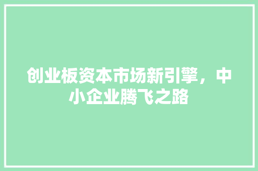 创业板资本市场新引擎，中小企业腾飞之路