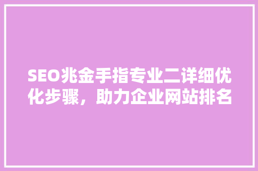SEO兆金手指专业二详细优化步骤，助力企业网站排名飙升