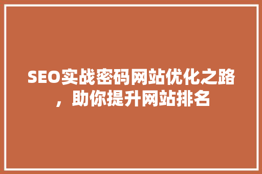 SEO实战密码网站优化之路，助你提升网站排名