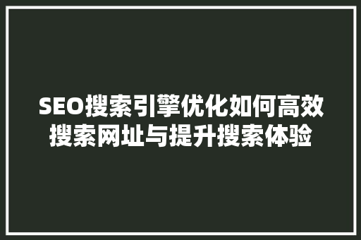 SEO搜索引擎优化如何高效搜索网址与提升搜索体验