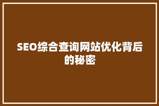 SEO综合查询网站优化背后的秘密
