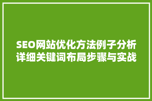 SEO网站优化方法例子分析详细关键词布局步骤与实战成果  第1张