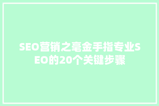 SEO营销之毫金手指专业SEO的20个关键步骤