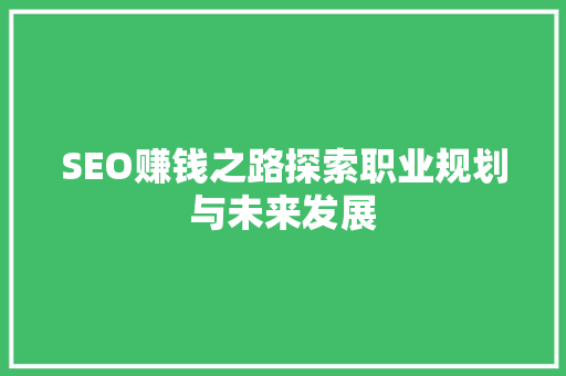 SEO赚钱之路探索职业规划与未来发展  第1张