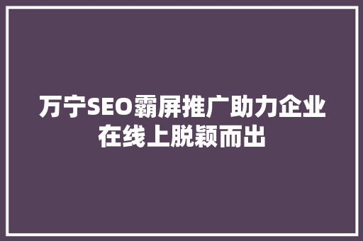 万宁SEO霸屏推广助力企业在线上脱颖而出