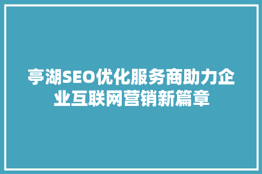 亭湖SEO优化服务商助力企业互联网营销新篇章