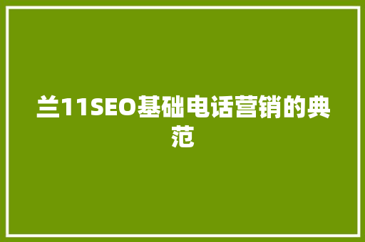 兰11SEO基础电话营销的典范