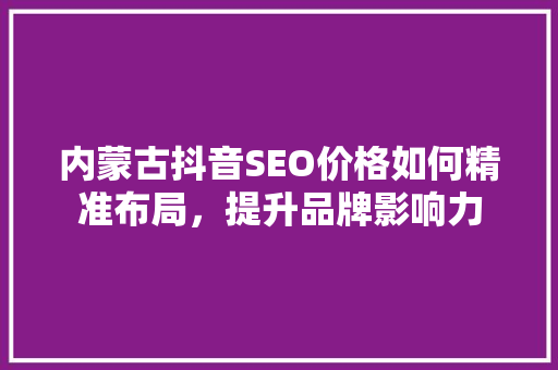 内蒙古抖音SEO价格如何精准布局，提升品牌影响力