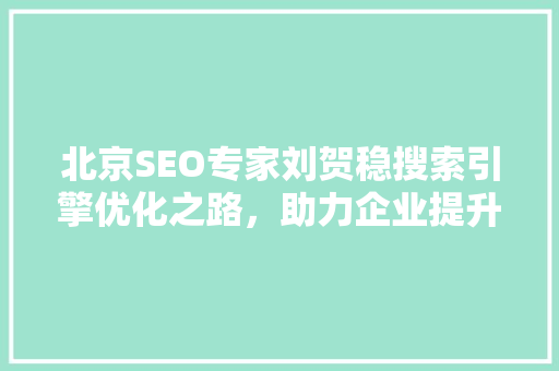 北京SEO专家刘贺稳搜索引擎优化之路，助力企业提升网络竞争力