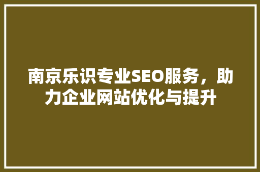 南京乐识专业SEO服务，助力企业网站优化与提升