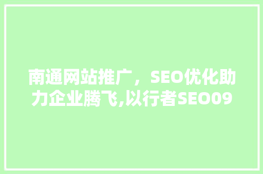 南通网站推广，SEO优化助力企业腾飞,以行者SEO09为例
