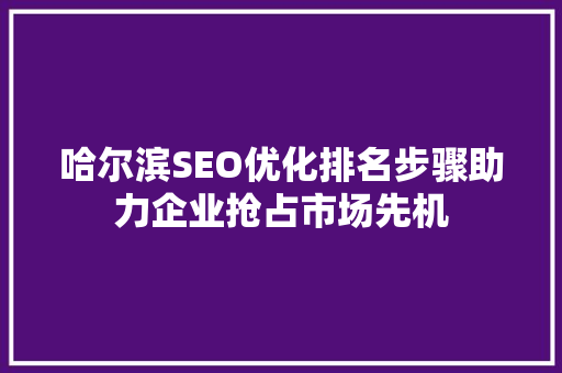 哈尔滨SEO优化排名步骤助力企业抢占市场先机