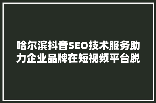 哈尔滨抖音SEO技术服务助力企业品牌在短视频平台脱颖而出