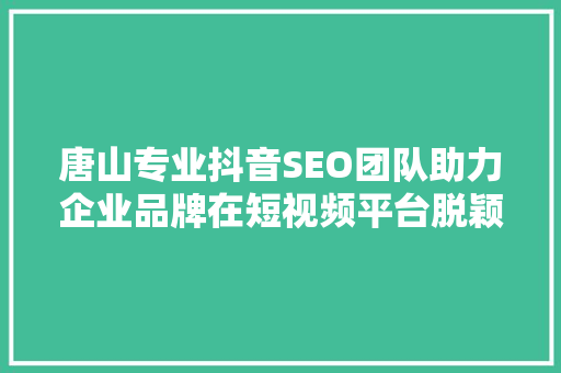 唐山专业抖音SEO团队助力企业品牌在短视频平台脱颖而出
