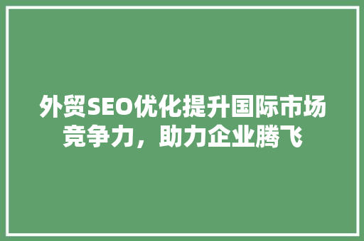 外贸SEO优化提升国际市场竞争力，助力企业腾飞