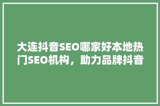 大连抖音SEO哪家好本地热门SEO机构，助力品牌抖音营销