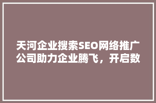 天河企业搜索SEO网络推广公司助力企业腾飞，开启数字营销新时代