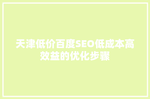 天津低价百度SEO低成本高效益的优化步骤