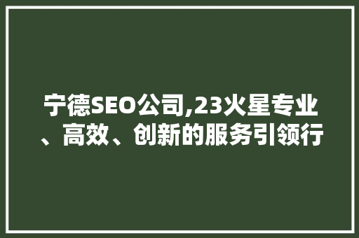 宁德SEO公司,23火星专业、高效、创新的服务引领行业潮流