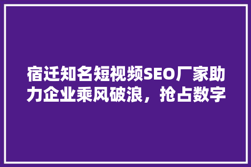 宿迁知名短视频SEO厂家助力企业乘风破浪，抢占数字营销制高点