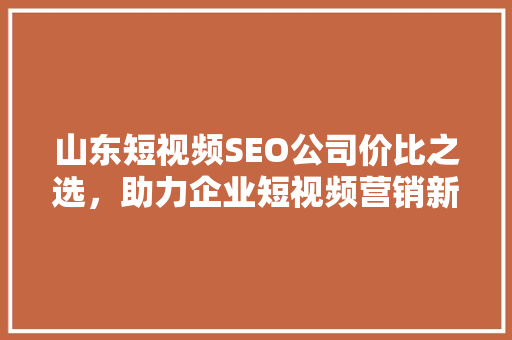 山东短视频SEO公司价比之选，助力企业短视频营销新篇章  第1张