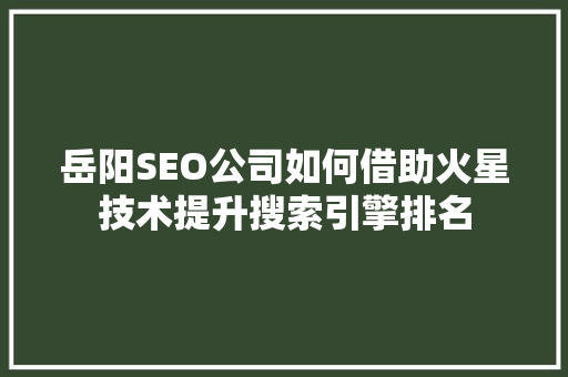 岳阳SEO公司如何借助火星技术提升搜索引擎排名