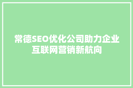 常德SEO优化公司助力企业互联网营销新航向