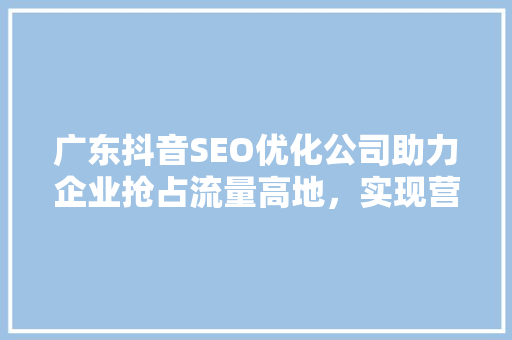 广东抖音SEO优化公司助力企业抢占流量高地，实现营销新突破