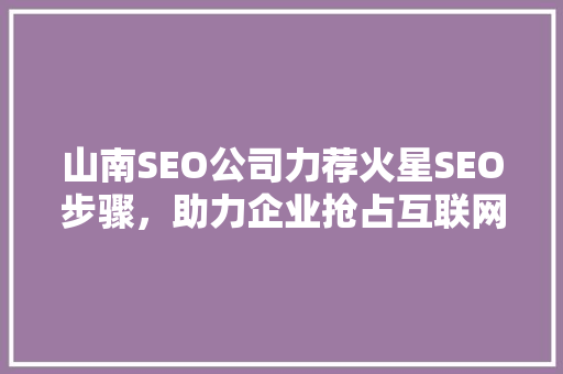 山南SEO公司力荐火星SEO步骤，助力企业抢占互联网高地